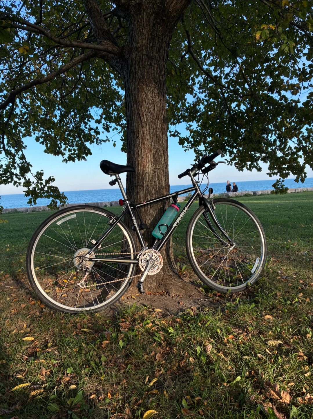 Black Hybrid Bike + Accessories Included 🚲 - photo 2