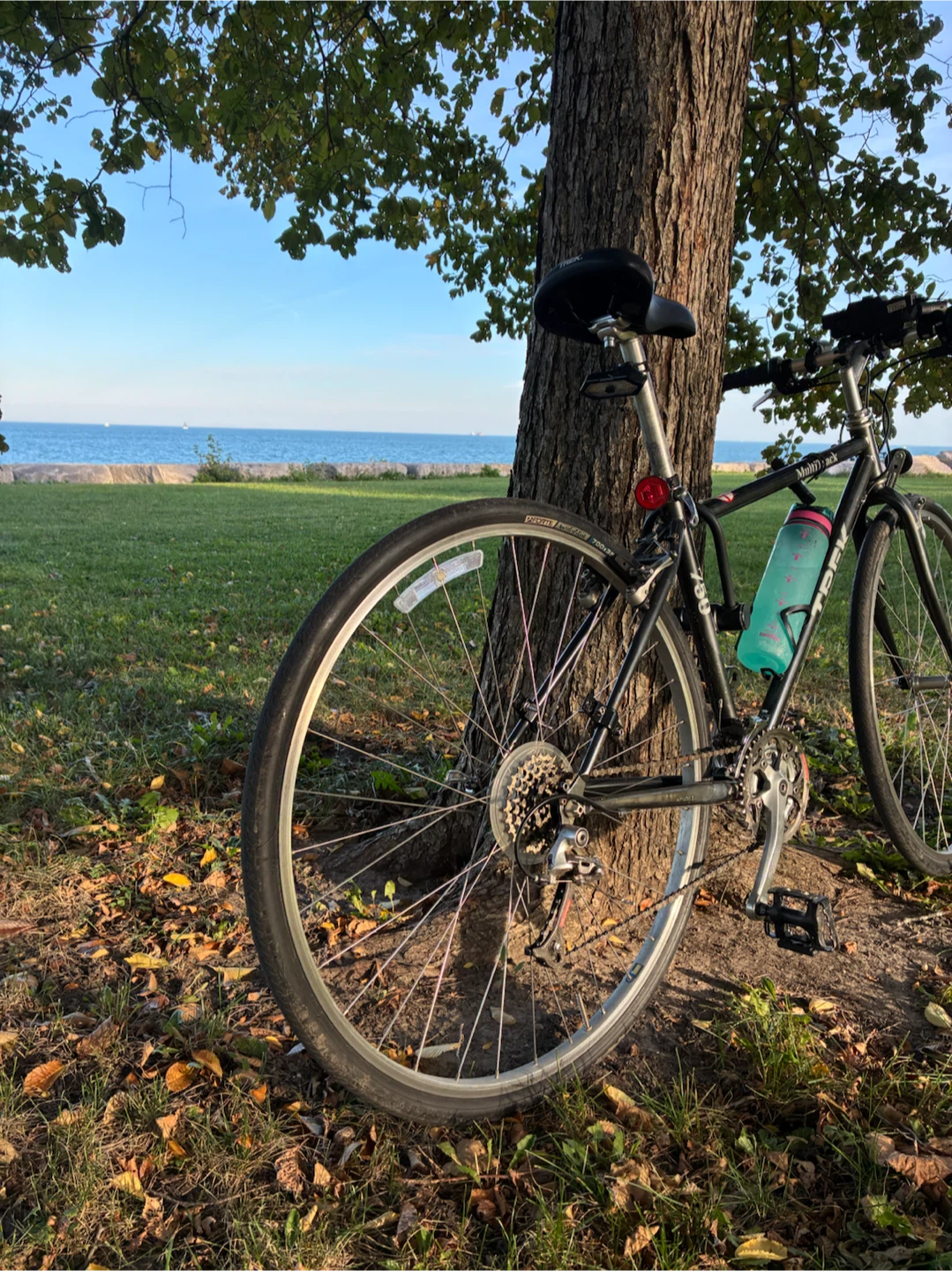Black Hybrid Bike + Accessories Included 🚲 - photo 5