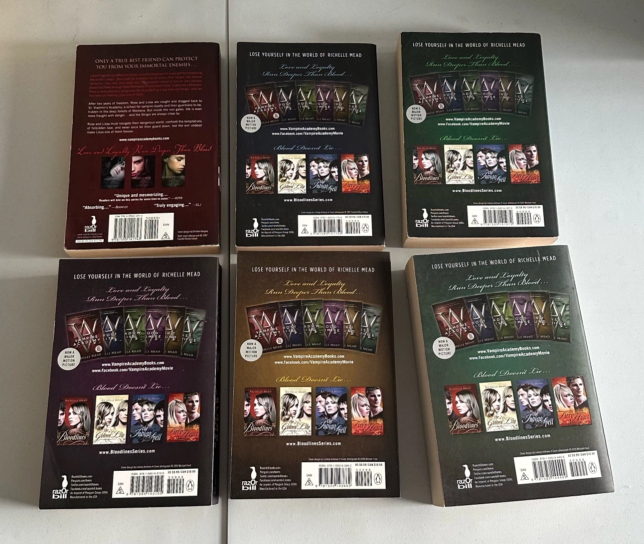 Vampire Academy Series Books 1-6 by Richelle Mead - photo 2