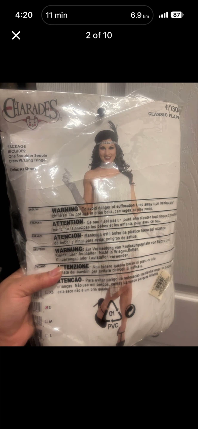 Charades Classic Flapper Costume