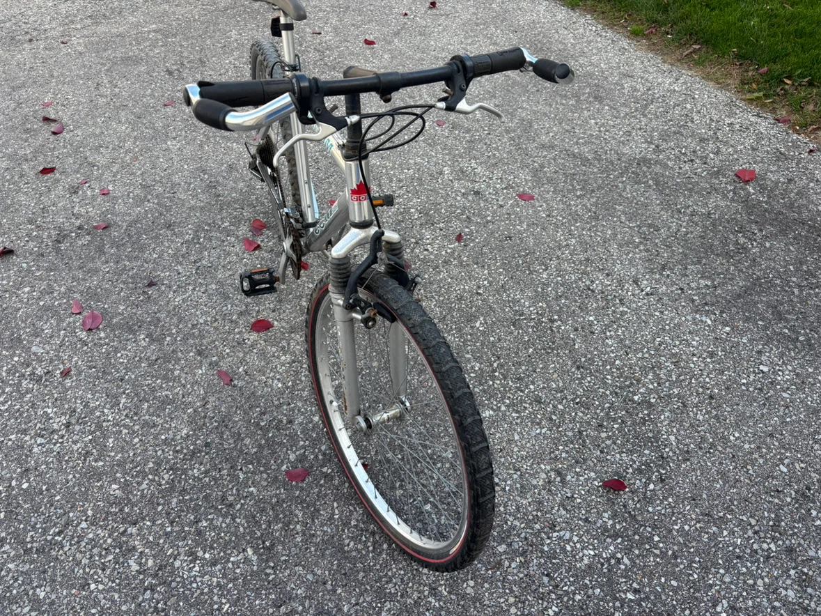 CCM Aluminum Mountain Bike - photo 2