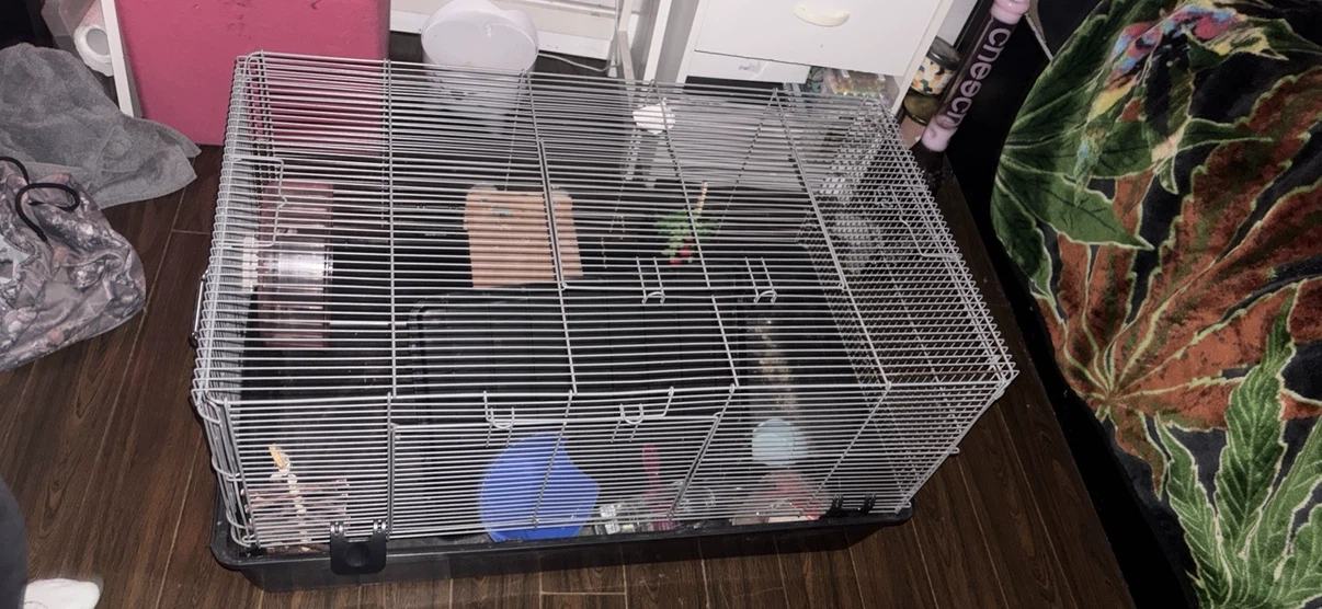 large hamster cage
