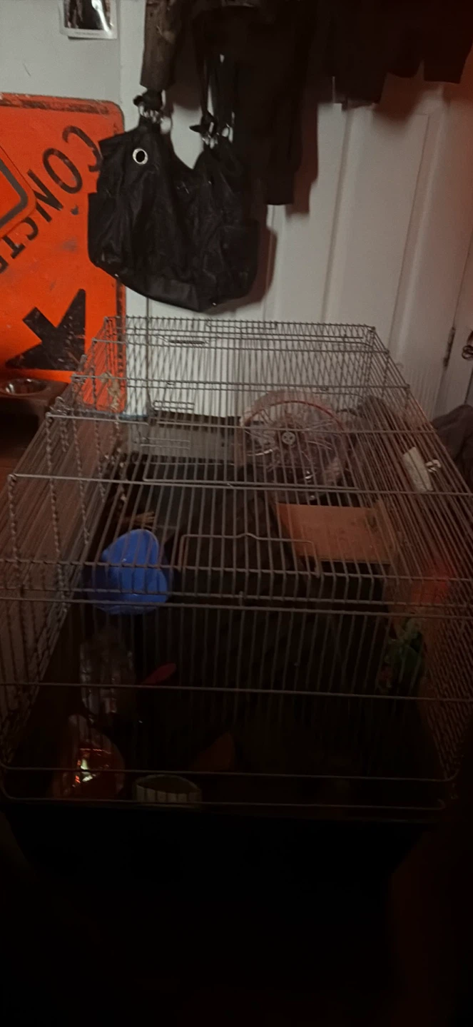 large hamster cage - photo 2