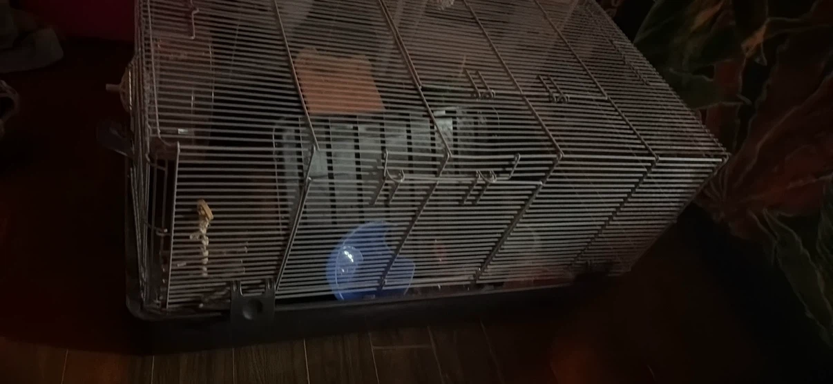 large hamster cage - photo 3