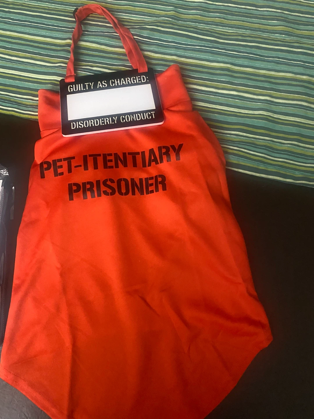 Spirit Halloween Pet Convict Costume - Large - photo 2