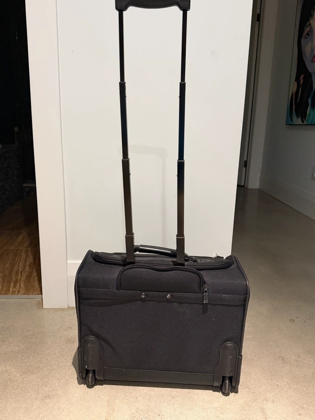 Skyway Rolling Carry-On Luggage - photo 3