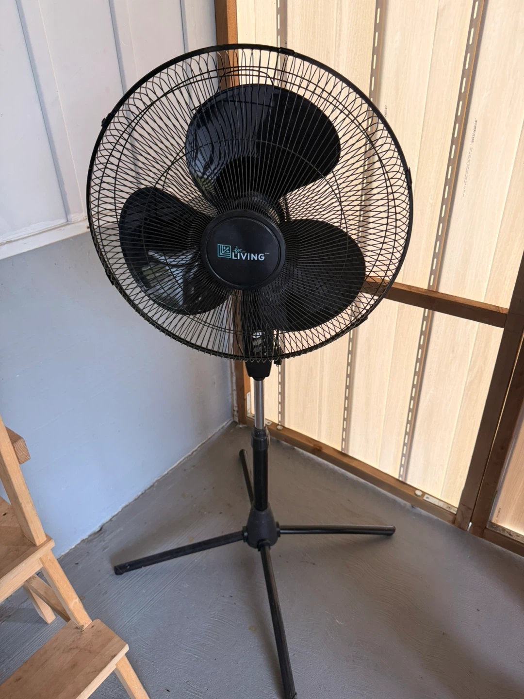 For Living black pedestal fan
