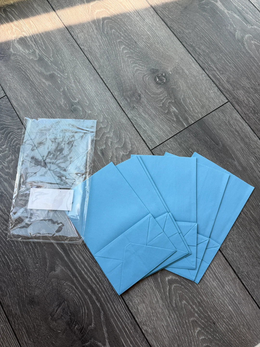 Six Light Blue Paper Treat Bags