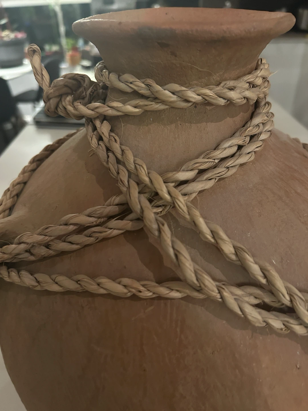 Rustic Clay Vase with Rope Detail - photo 5