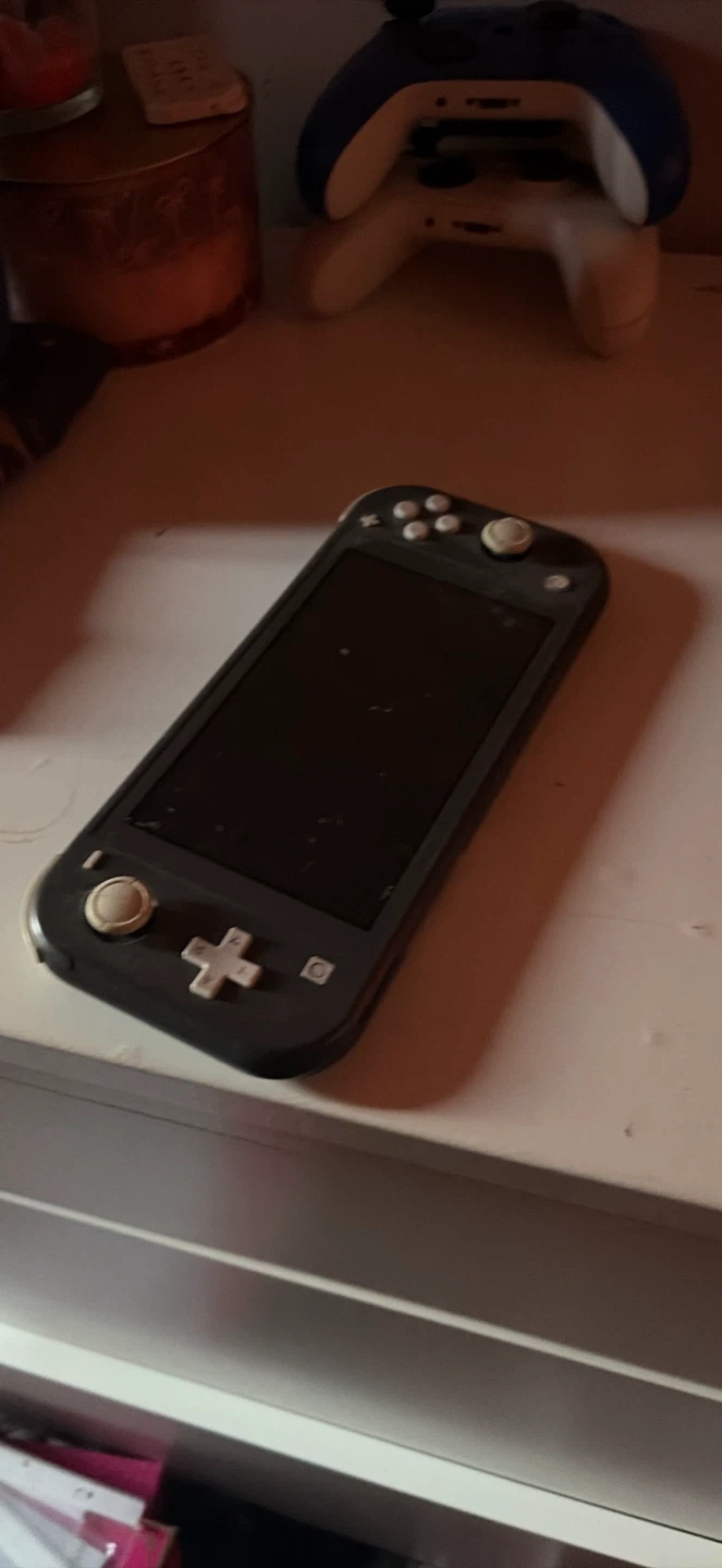 nintendo switch lite (gray)