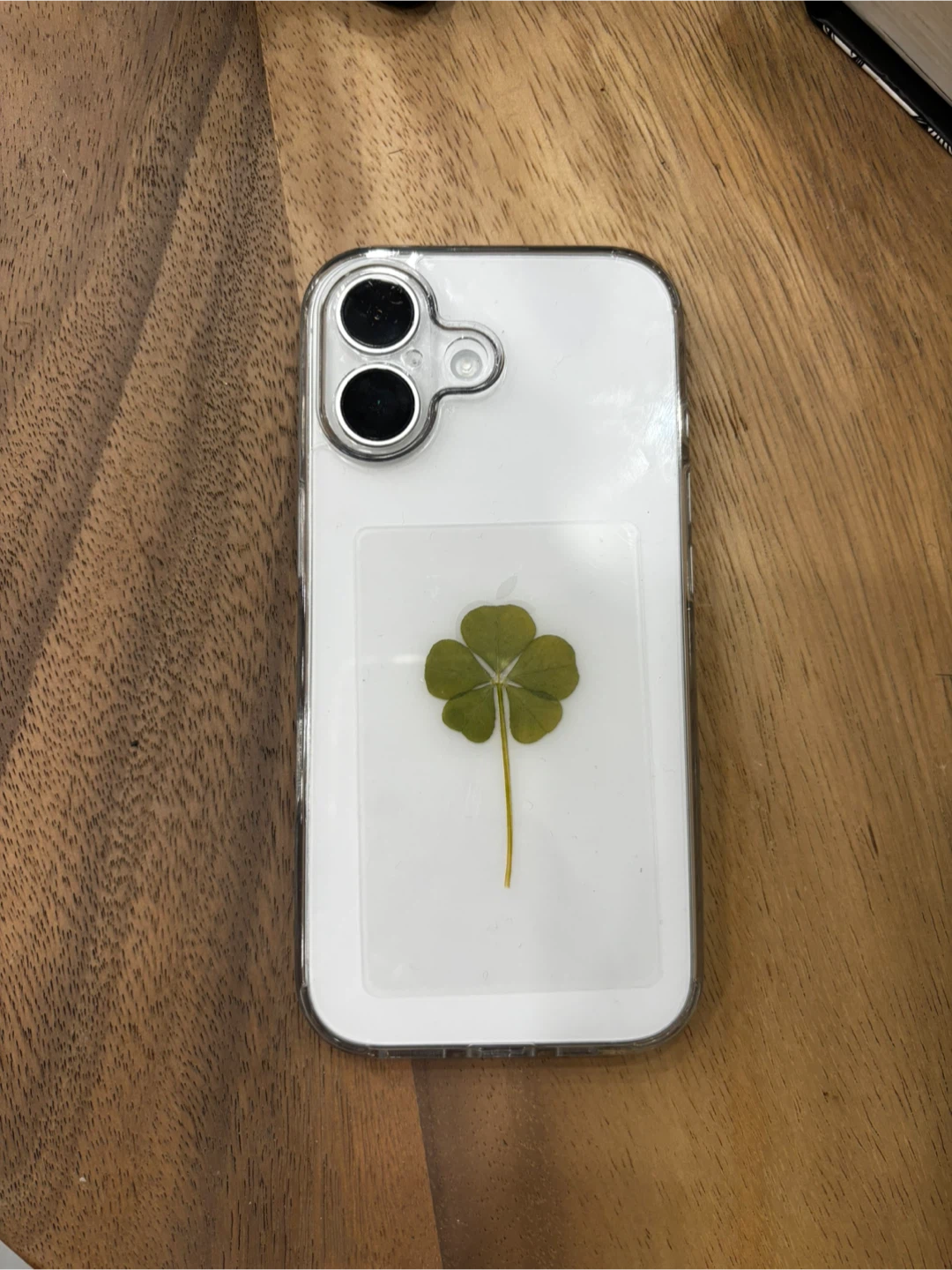 Apple iPhone 17