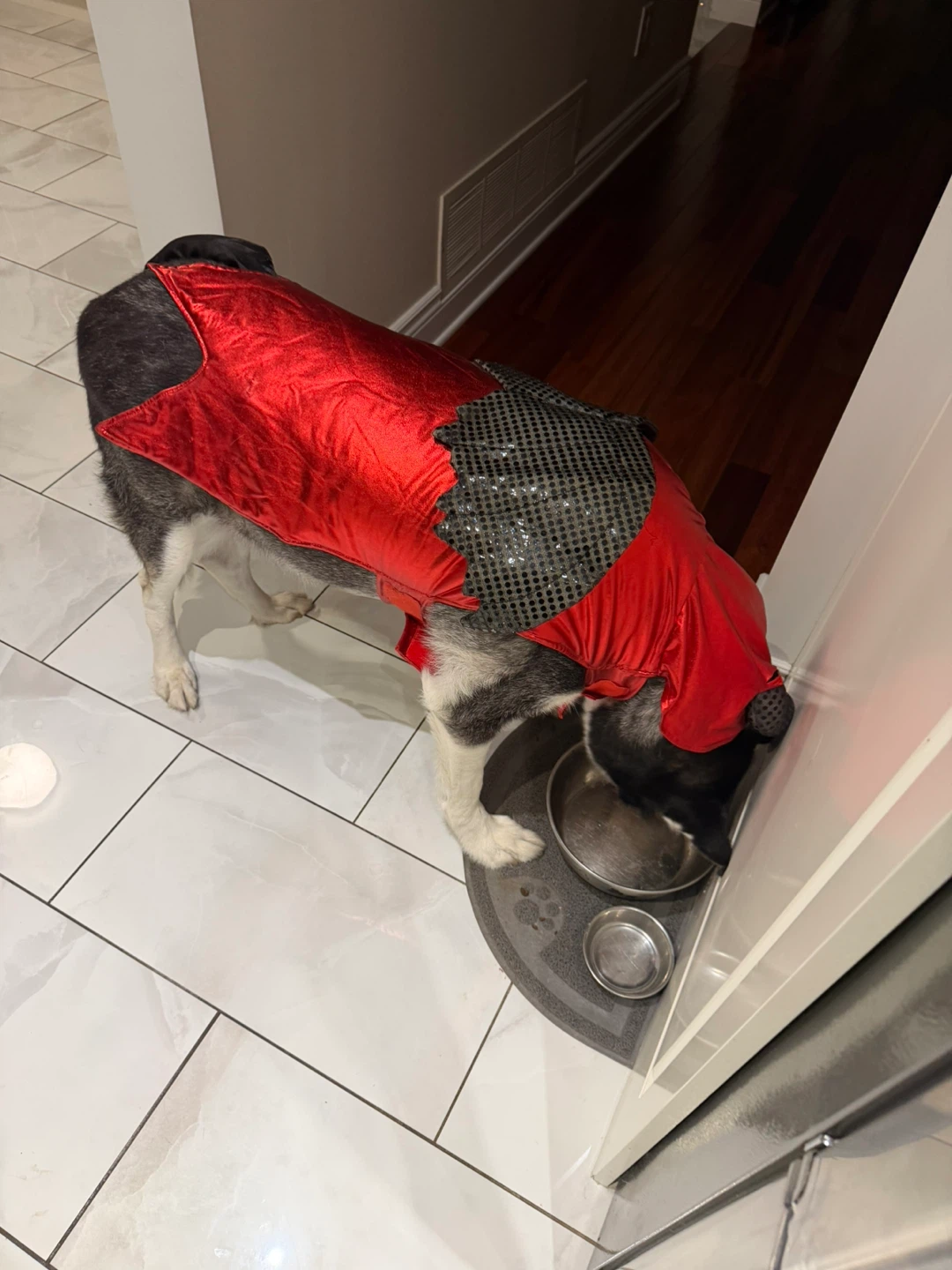 Dog Halloween Red Devil Costume Cape - photo 3