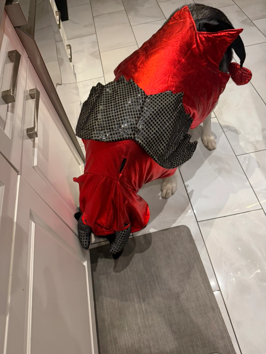Dog Halloween Red Devil Costume Cape - photo 4