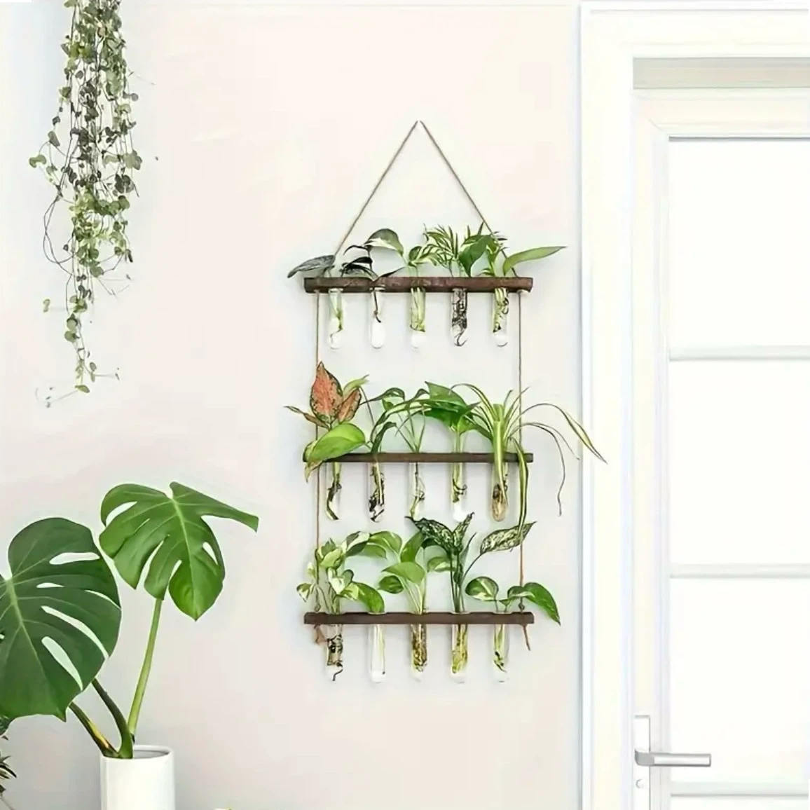 Wooden Wall Hanging Propagation Station