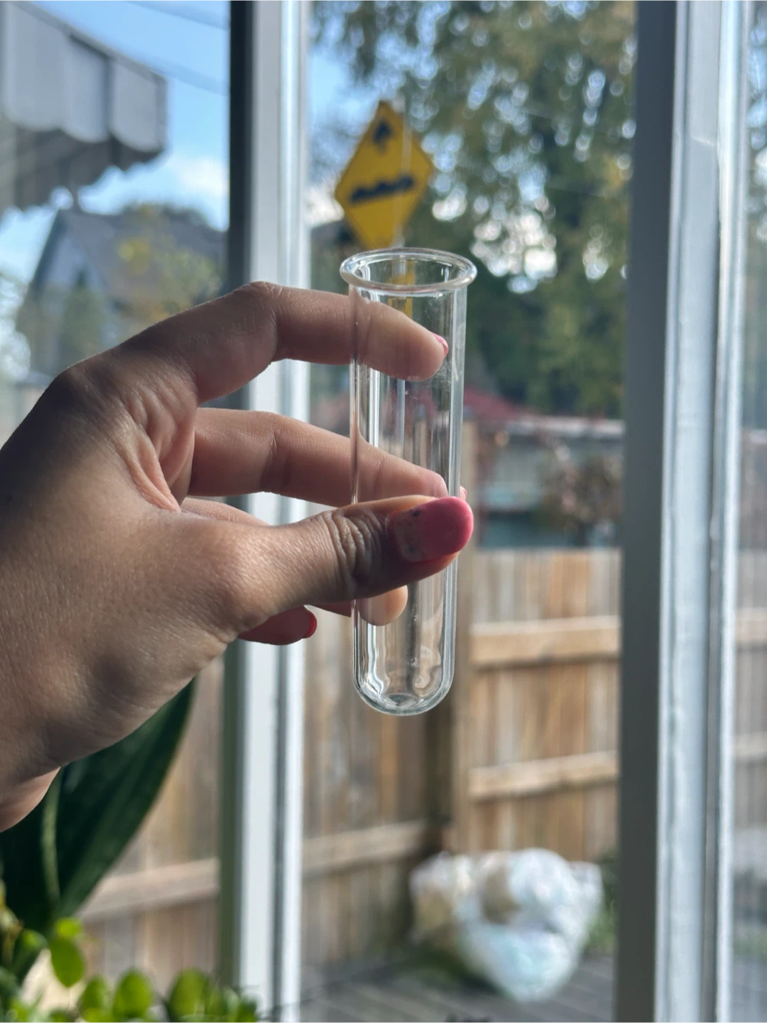 Wooden Wall Hanging Propagation Station - photo 3