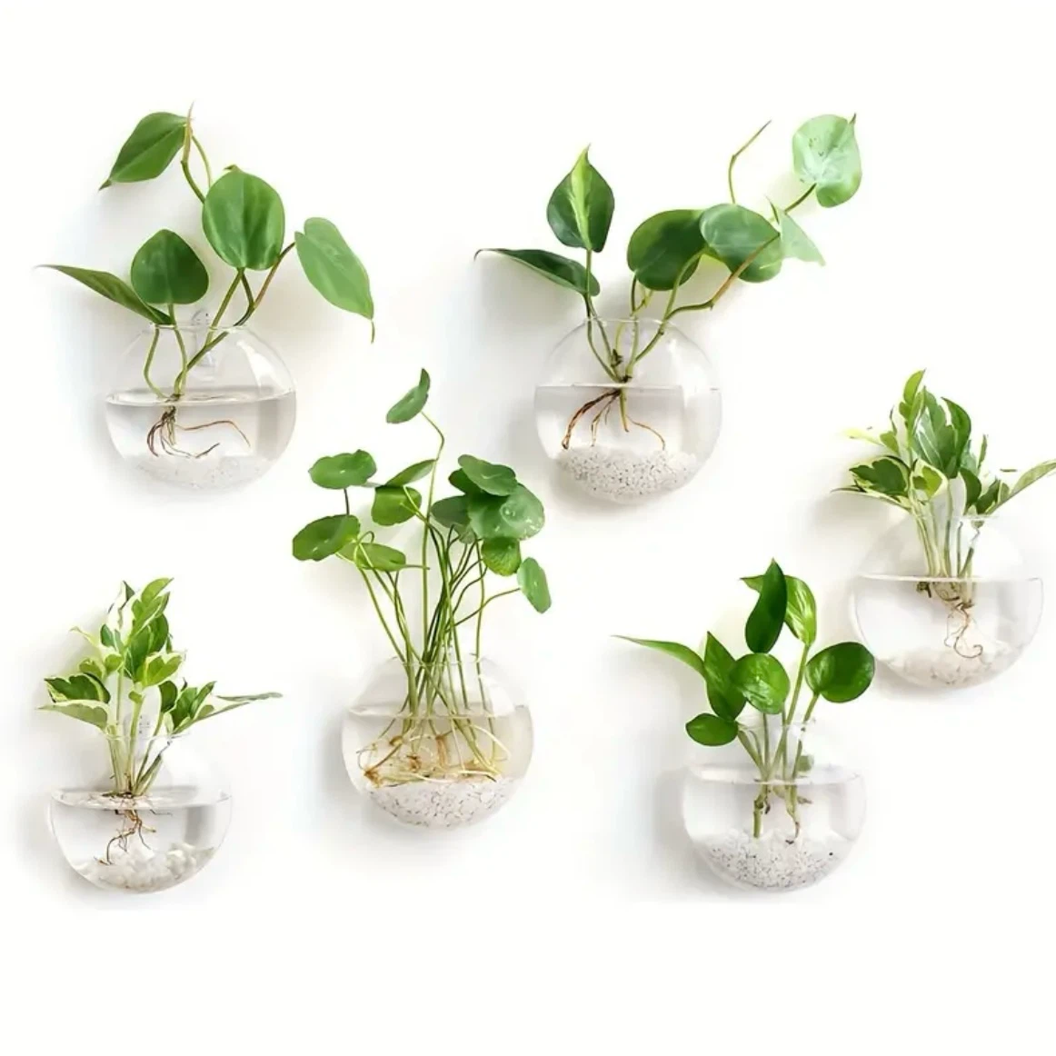 Wall Mounted Glass Globe Planters x5