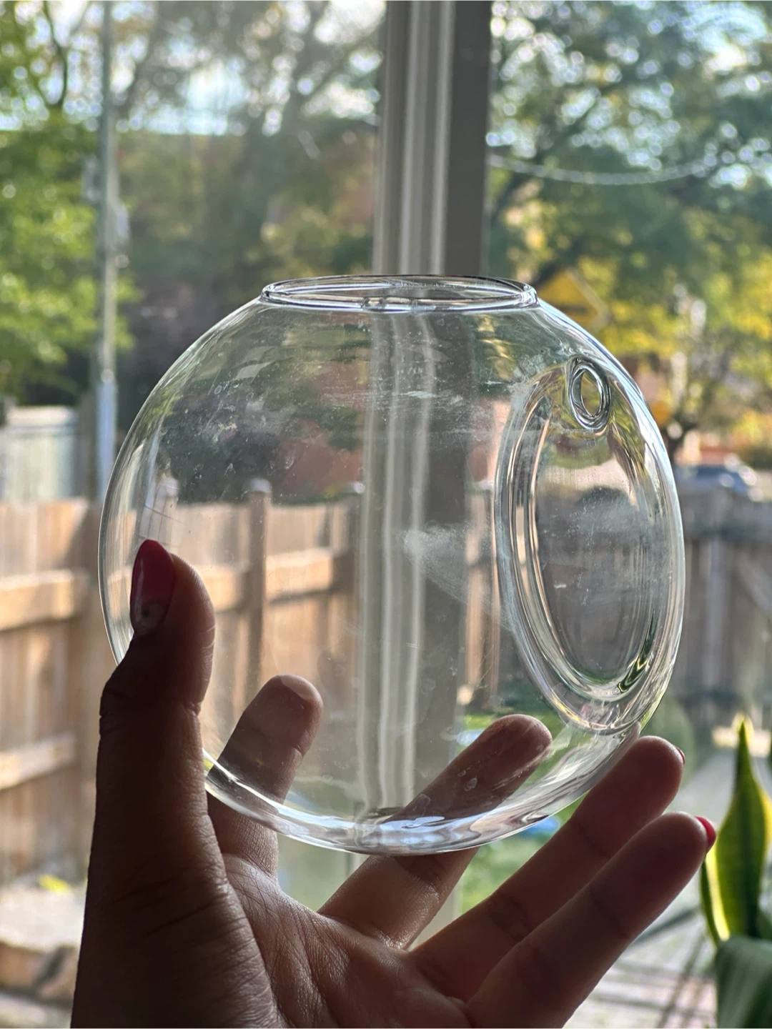 Wall Mounted Glass Globe Planters x5 - photo 5