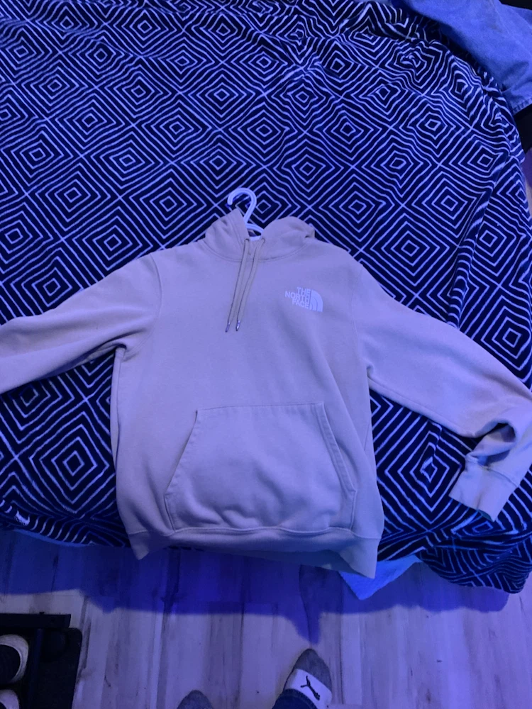 The North Face Circular Design Hoodie
