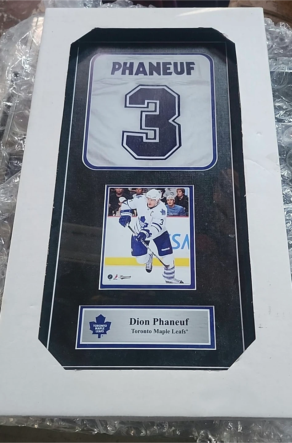 Dion Phaneuf Toronto Maple Leafs Framed Collectible