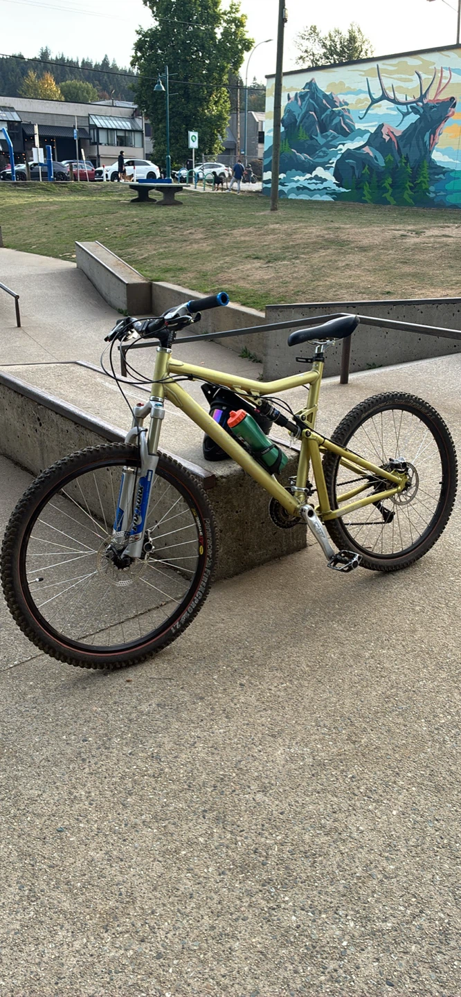 Santa Cruz Blur Mountain Bike