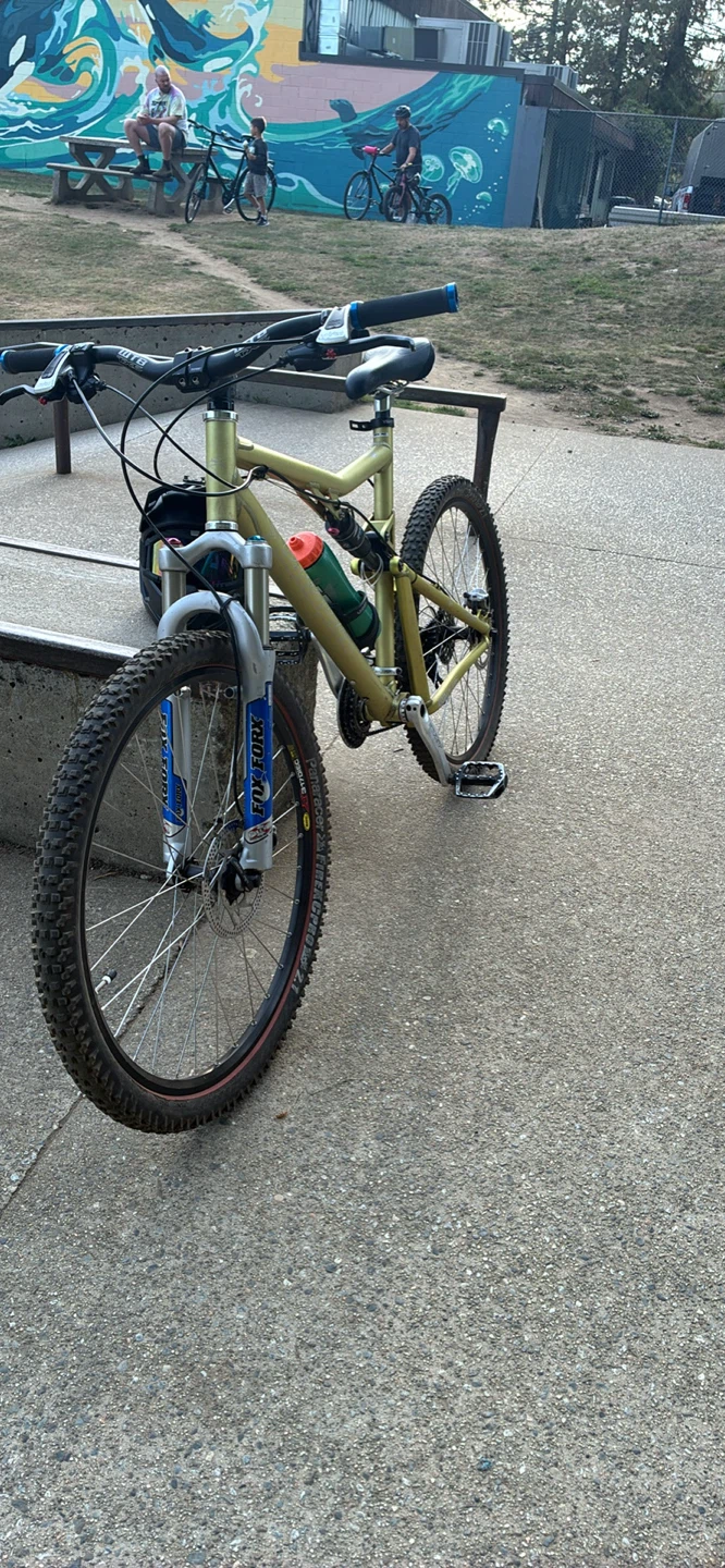 Santa Cruz Blur Mountain Bike - photo 2