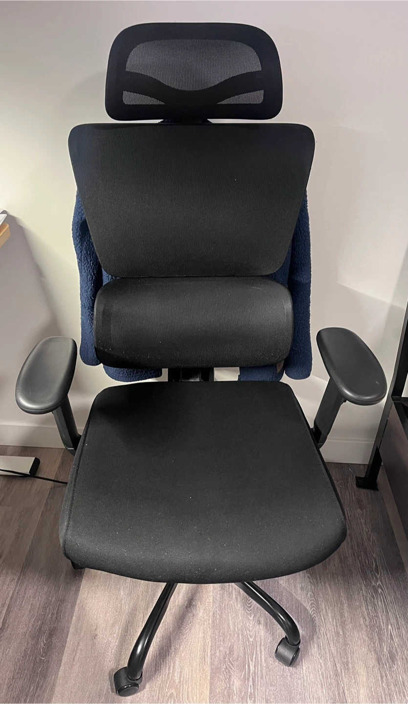 Black Ergonomic Office Chair with Headrest