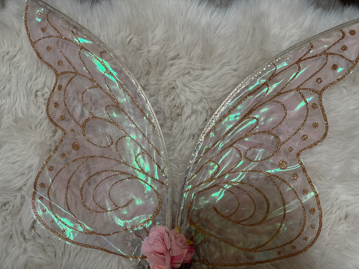Fairy Wings Costume for Kids and Adults