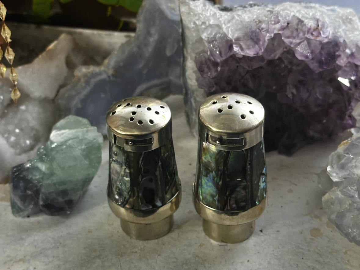 Abalone shell salt and pepper - photo 4