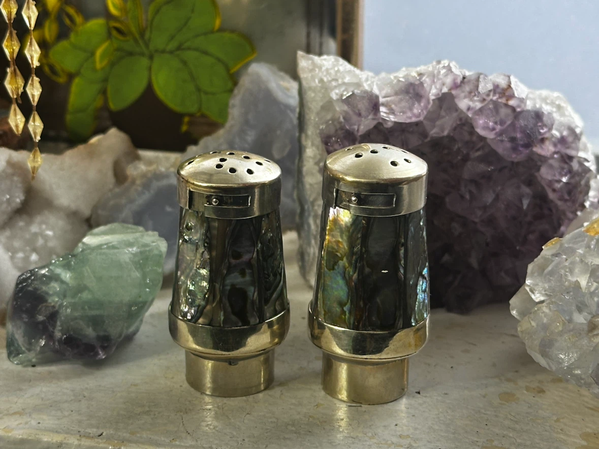 Abalone shell salt and pepper - photo 3