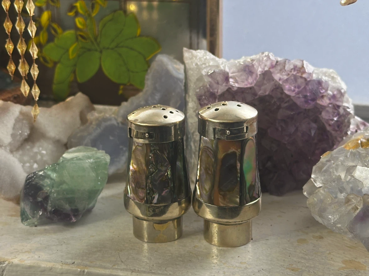 Abalone shell salt and pepper - photo 2