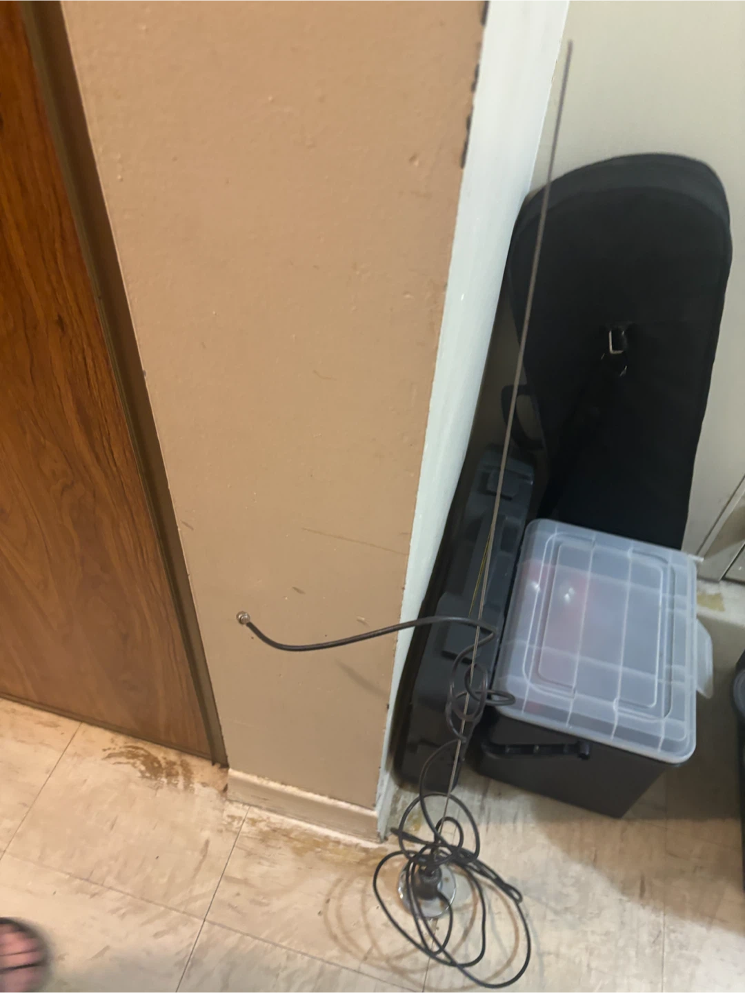 Long Whip Antenna