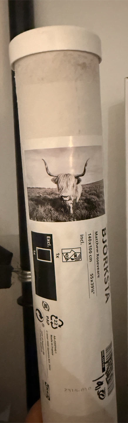 IKEA BJORKSTA Picture with Frame
