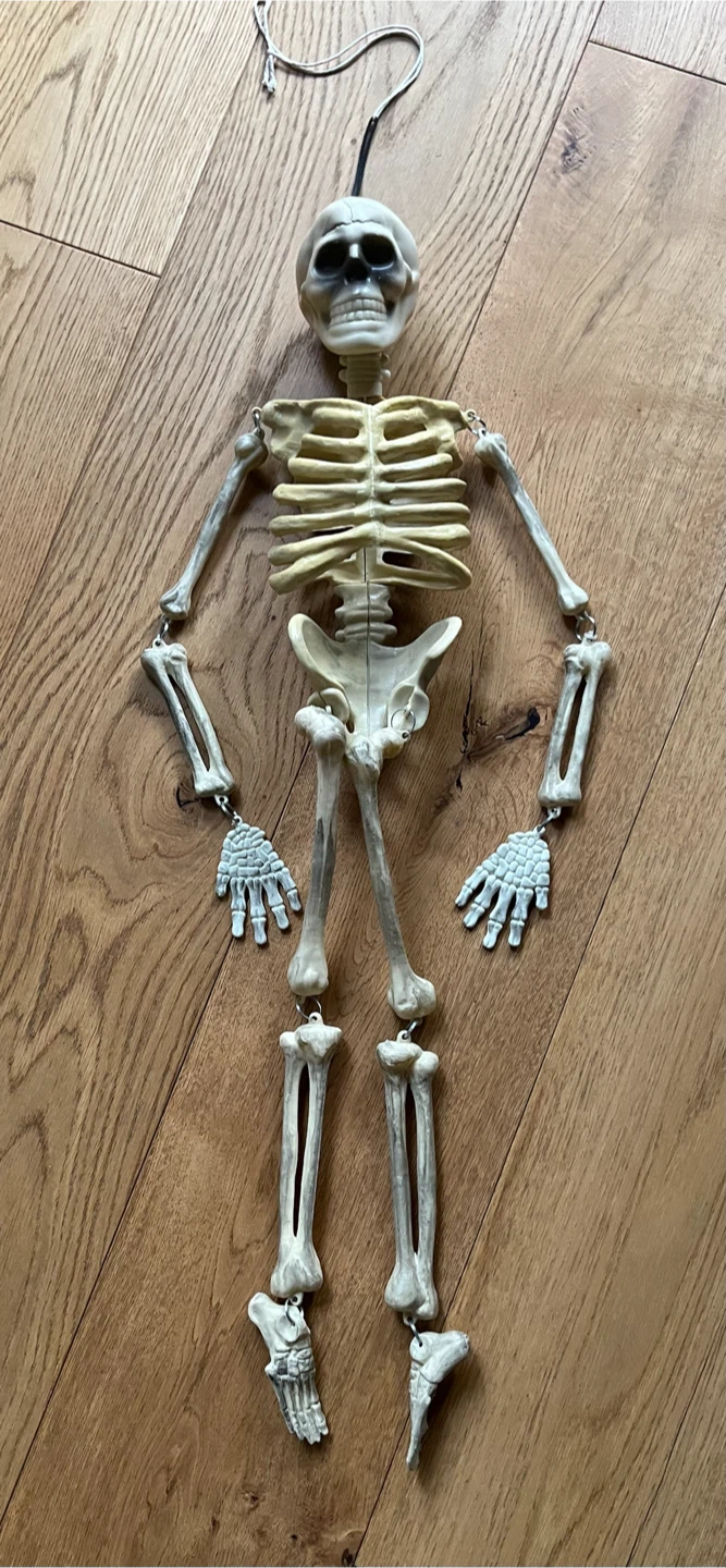 HALLOWE’EN Hanging Skeleton Decoration