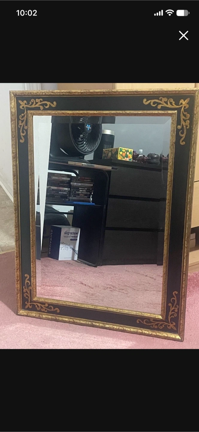 Mirror - Length 25 Height 23
