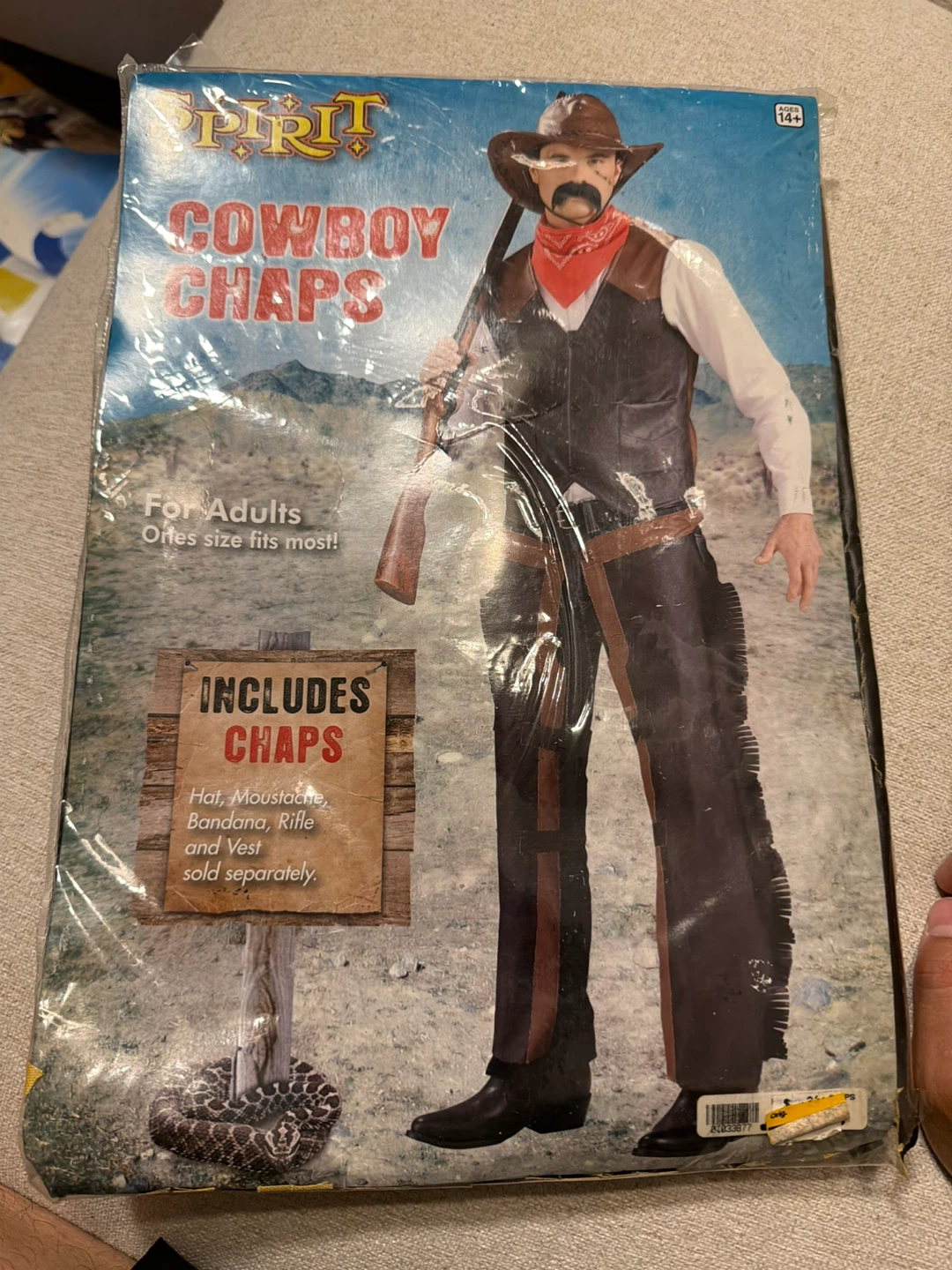 Assorted Halloween Costumes - photo 4