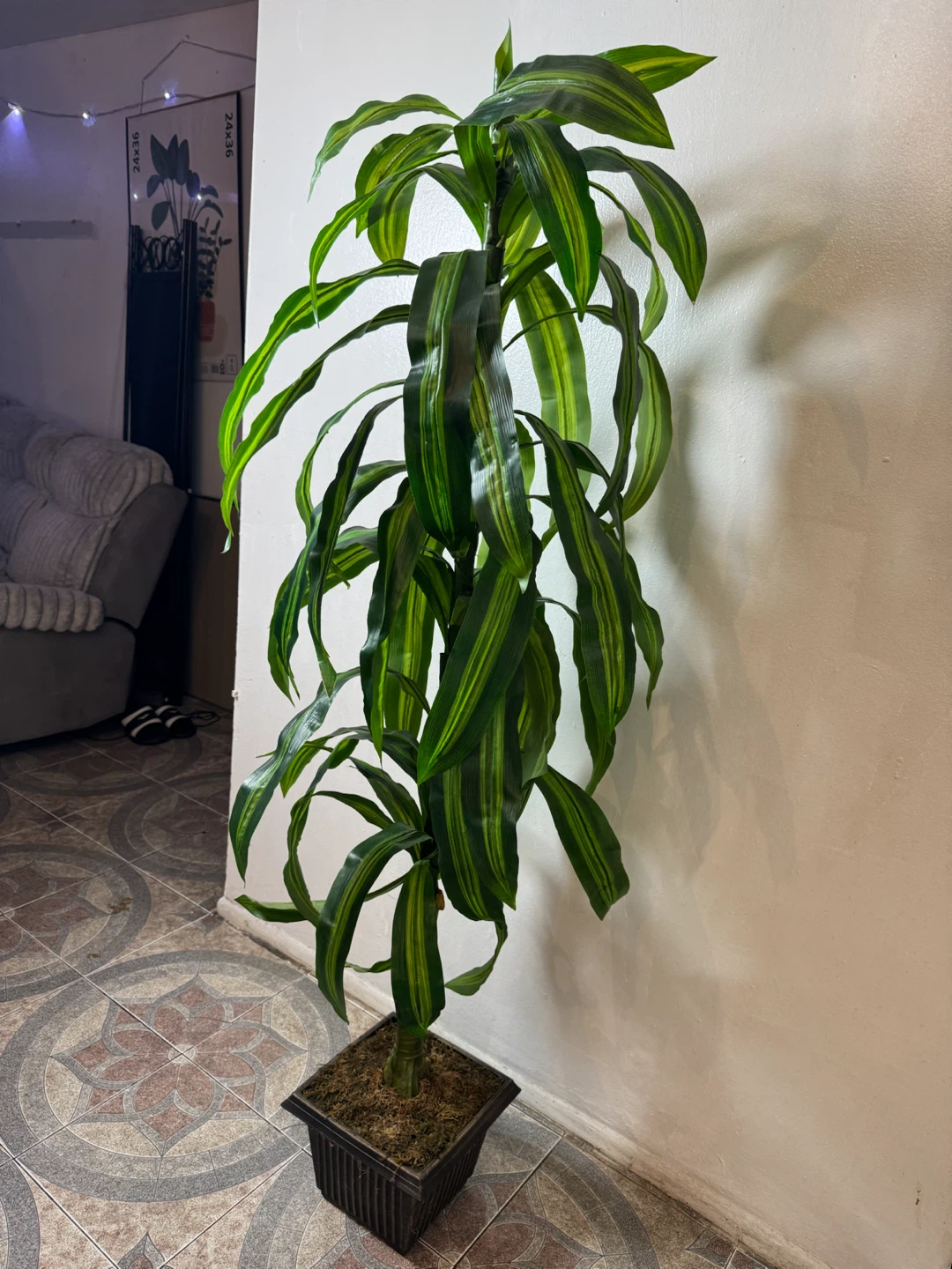 Artificial Dracaena Plant