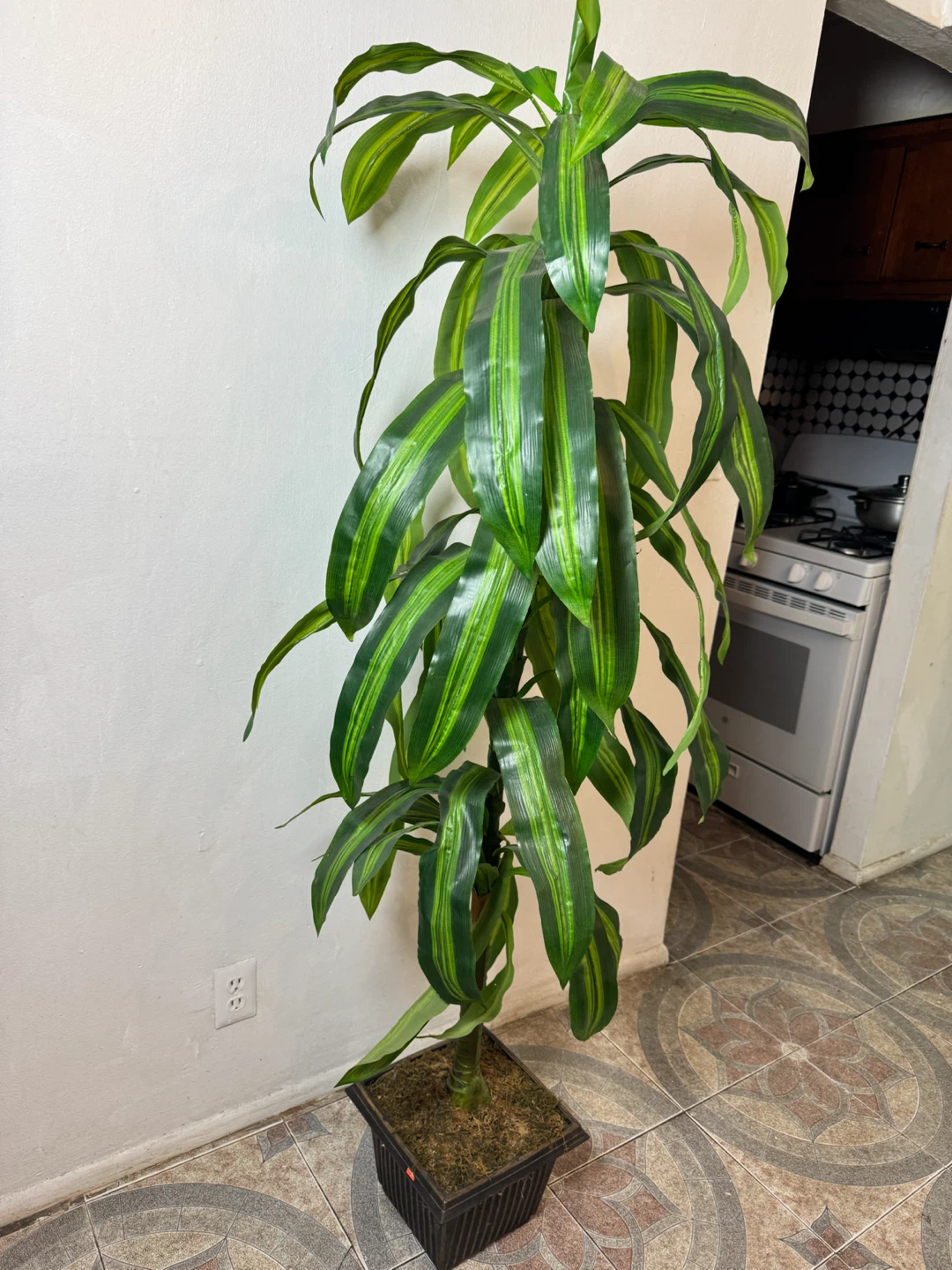 Artificial Dracaena Plant - photo 2