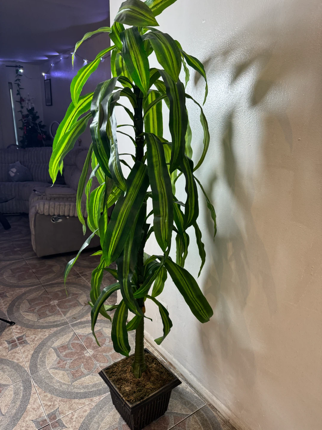 Artificial Dracaena Plant - photo 3