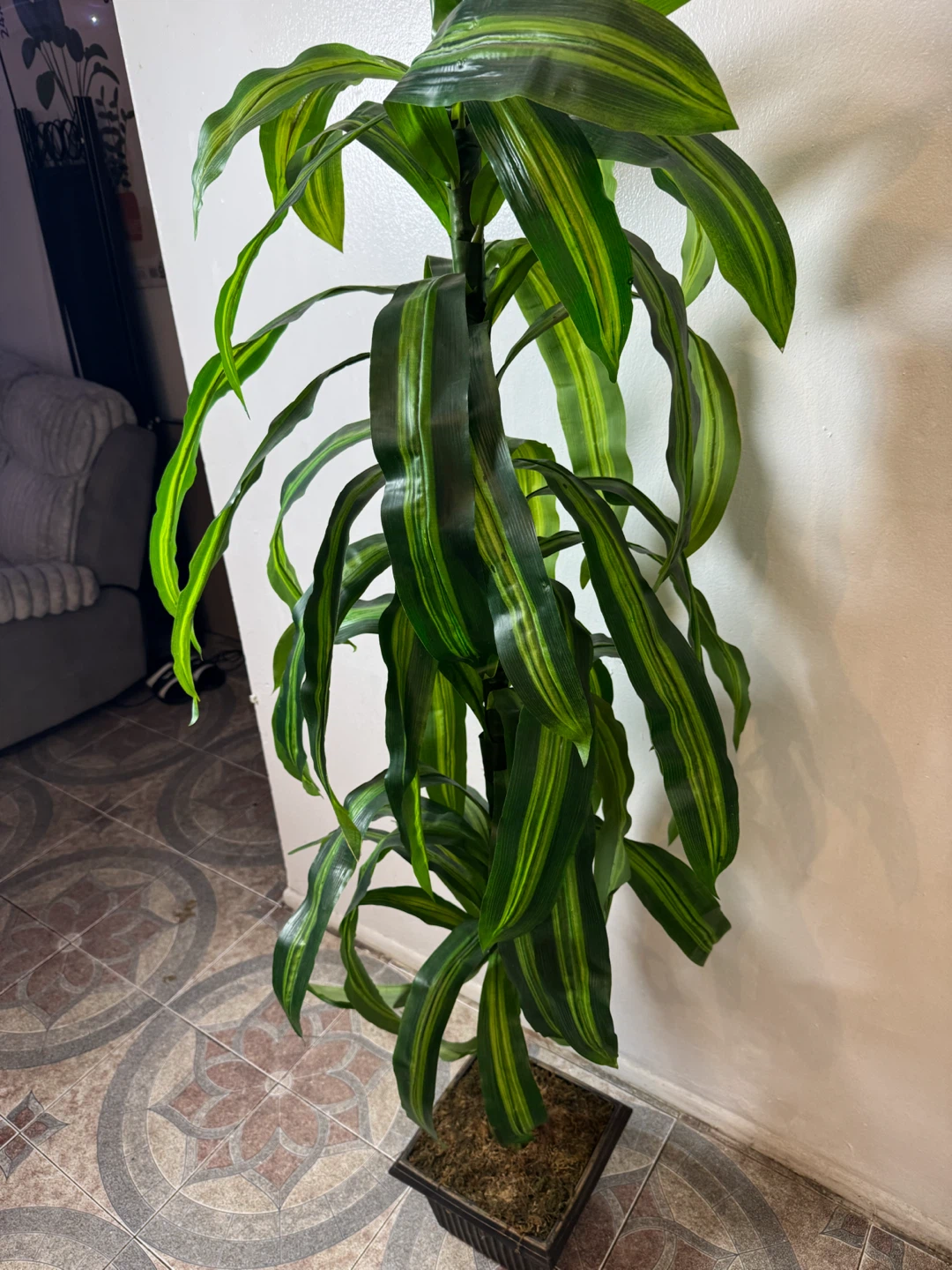 Artificial Dracaena Plant - photo 4