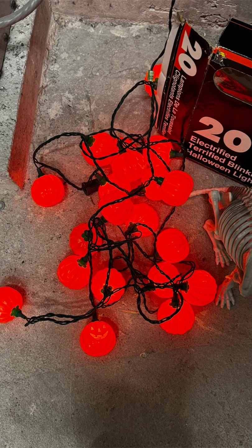 20 Electrified Halloween Pumpkin Lights skeleton dog