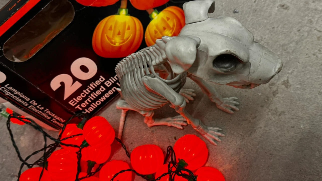 20 Electrified Halloween Pumpkin Lights skeleton dog - photo 3