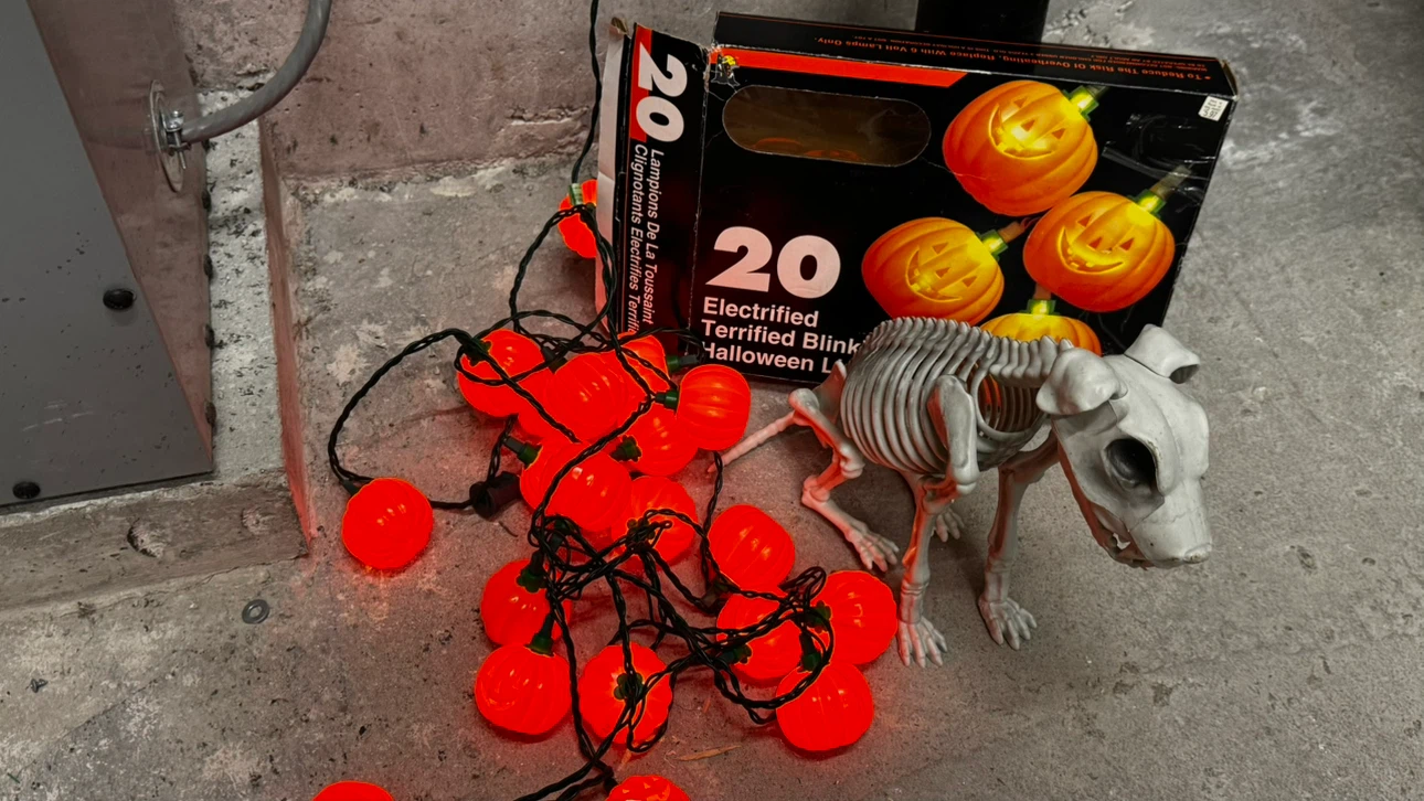 20 Electrified Halloween Pumpkin Lights skeleton dog - photo 4