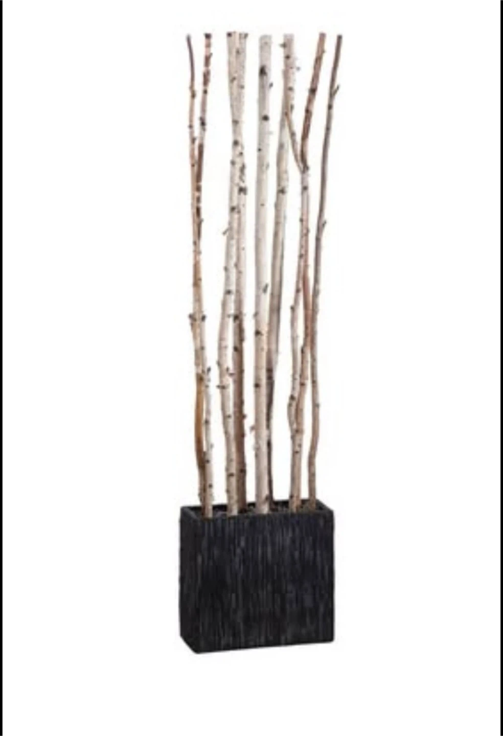 Two Natural Birch Branch Room Divider