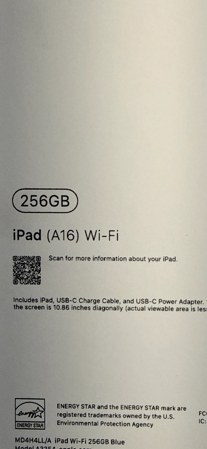 Apple iPad 256GB Wi-Fi Gray - photo 2