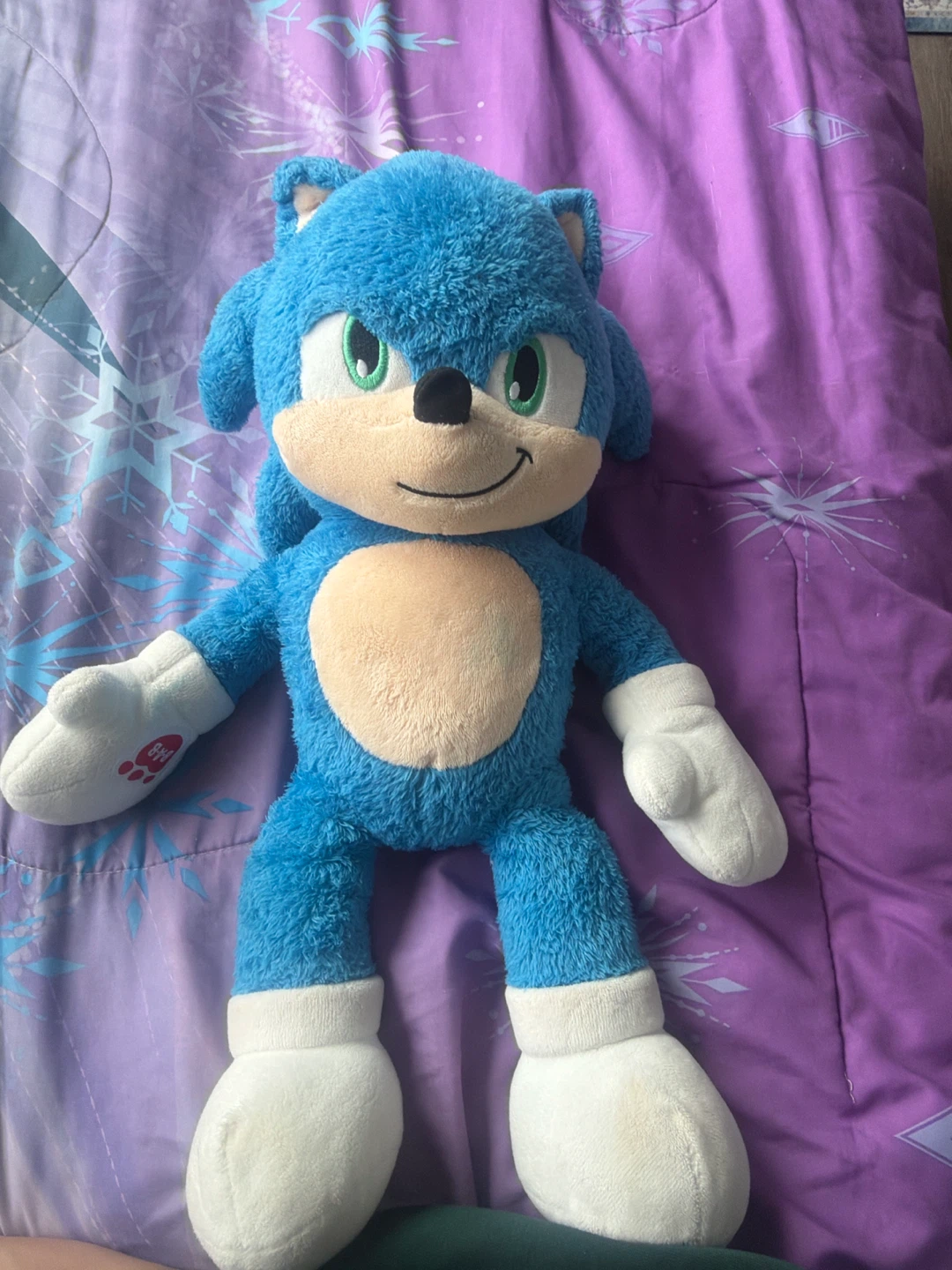 Build-A-Bear Sonic the Hedgehog Plush - photo 2