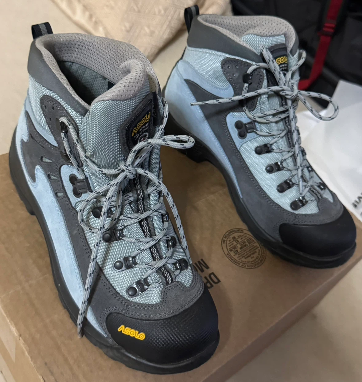 Asolo Hiking Boots