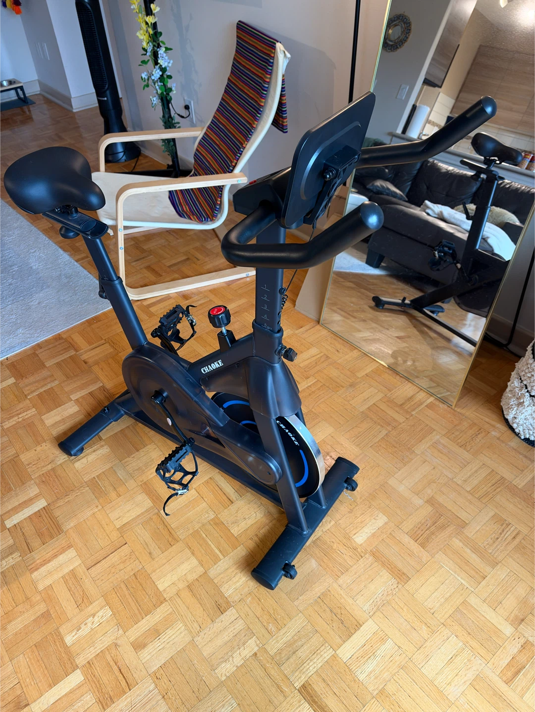CHAOKE Stationary Exercise Bike