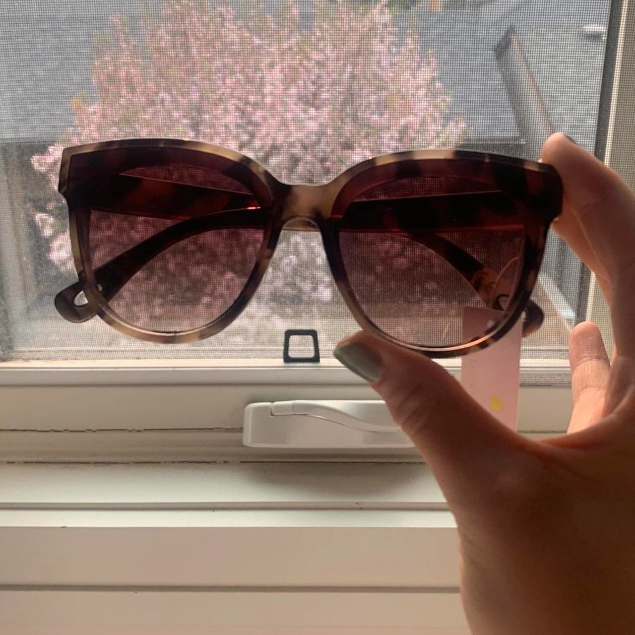 Lele Sadoughi Tortoiseshell Sunglasses