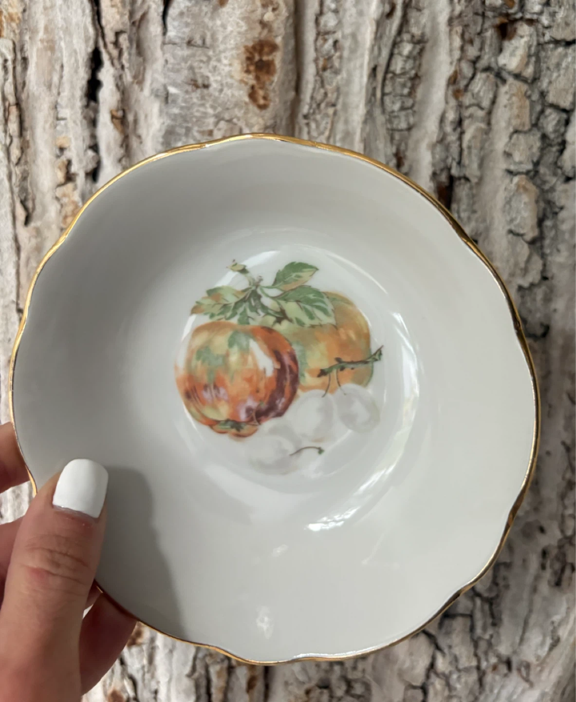 Vintage :Bohemian Fine China Small Bowl
