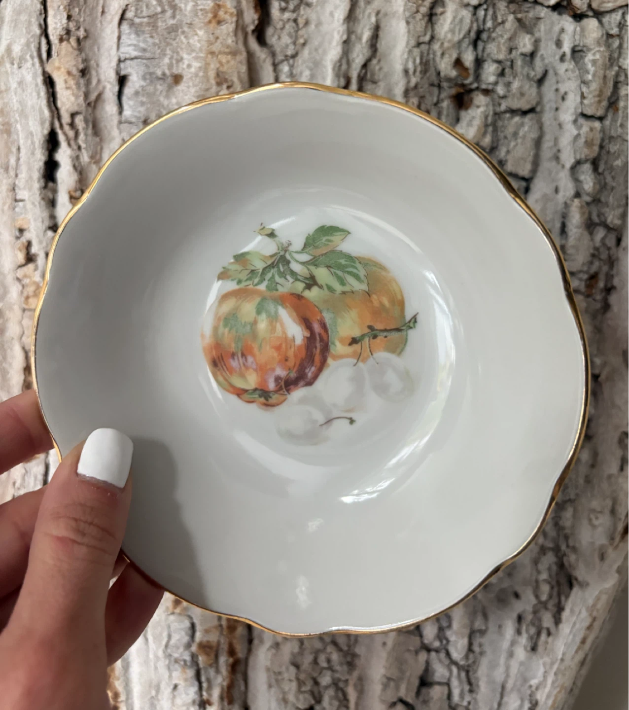 Vintage :Bohemian Fine China Small Bowl - photo 4